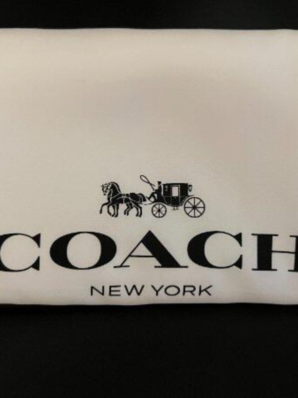 Coach 16”x13” Drawstring Dust Bag New York White Black Lettering Silky Brand New